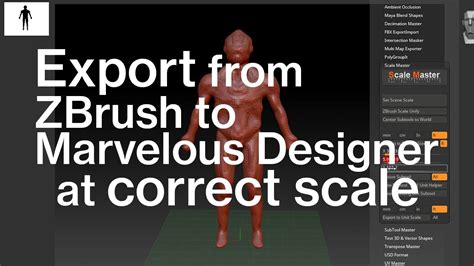 zbrush export scale